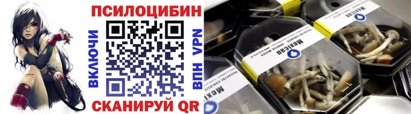 Галлюциногенные грибы GOLDEN TEACHER  купить наркотики сайты  Ахтубинск 